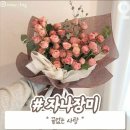 꽃말 - 유성구 죽동로280번길 16 | 꽃말