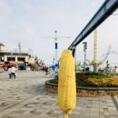 용현회수산 이미지