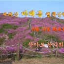 지리산 바래봉 철쭉산행 이미지