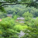 STAY. 보성 이미지