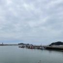 회뜨는수산 이미지