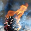 영수농장 이미지