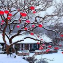 아름다운삶