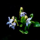 구암농장 이미지