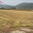 광산구-146 이미지