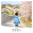 경기도 수원시 팔달구 수원천로 | 지금 딱 터졌다 수원 화성 벚꽃 명소 10곳 여행 코스 추천!