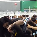 레몬이네 그루밍샵 이미지