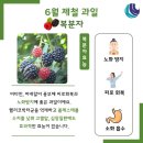 6월 제철 음식 이미지