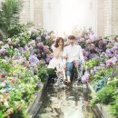 헐스튜디오