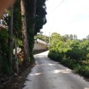 큰소낭 작은돌집 이미지