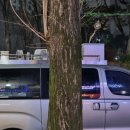 목련로 | 광주 광산구 운남동 맛집 재벌족발 솔직후기