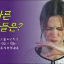 퀴아리