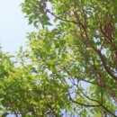 스테이 청춘 이미지