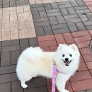 올데이 그루밍 이미지