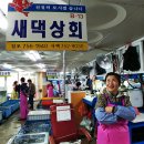 새댁상회 이미지