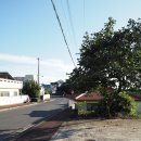 색달동-15 이미지