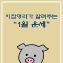 맑은내일주