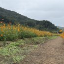 주왕산관광단지내 이미지