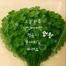 관문체육공원 이미지