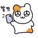 백년장여관 이미지