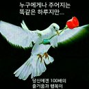 평안 Daum카페