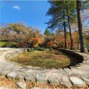 2025년11월26일 (전남순천) 연산봉, 조계산(100대 명산) 이미지