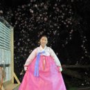 산호주단 이미지