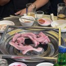 파파스클럽