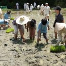 마들근린공원 이미지