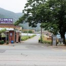하청천 티스토리