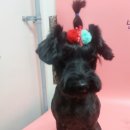 38점5도씨 이미지