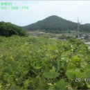 상촌목장 이미지