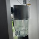 세븐일레븐 울산달동스마트빌 | [울산 파충류샵 / 대구 파충류샵 뉴런쥬라기] 팬서 카멜레온 분양중입니다🌈 카멜레온 키우기 먹이 사육...