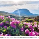 요보록소보록 네이버블로그