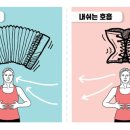 필라테스 온 이미지