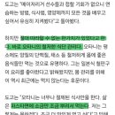 야구선수 오타니 쇼헤이의 자기관리 수준 이미지