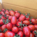 청은농장 이미지