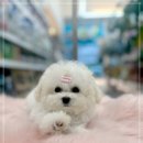 하루산책 이미지