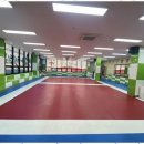 혁신 태권도 이미지