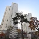 영무예다음부동산사무소 이미지