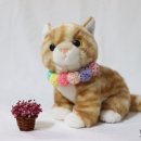 도기봉봉 이미지