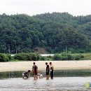 실종 40대, 자신이 기르던 강아지가 발견 이미지