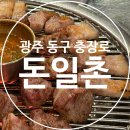 돈일촌 | 광주 동구 내돈내산 고기집 | 충장로4가 흑돼지맛집 돈일촌