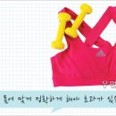 엑서사이즈