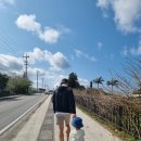 키즈 HSK 중국어 시험 도전반 | 2026년 2월과 3월 브이로그