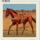 적토마