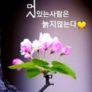 청춘고백 이미지