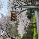 설천, is 이미지