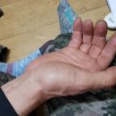 금양카센타 이미지