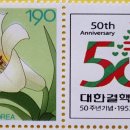 대한결핵협회 Daum카페